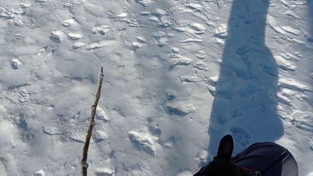 Игры на улице?