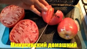 Дегустация и разрез суперурожайного томата Минусинский домашний (семена от Мязиной).