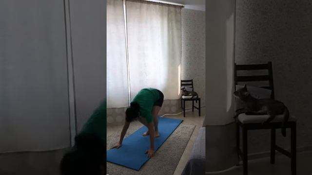 Судный день. Берпи смотреть онлайн