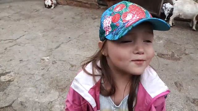 Ялта зоопарк Сказка. Козлята в бабушкином дворике)) смотреть онлайн