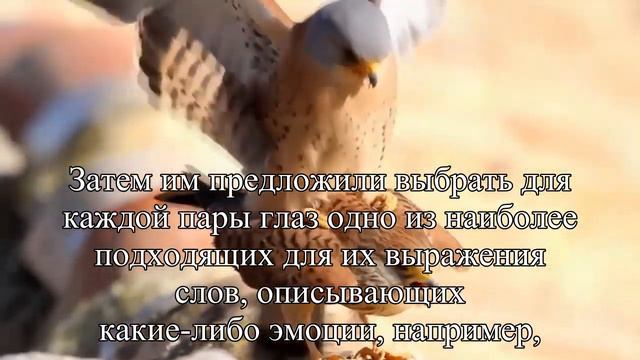 Мужчины действительно не могут понять, чего хотят женщины — Статья смотреть онлайн