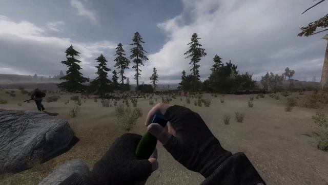 STALKER: Gunslinger Beta Consumable animations "The Best" смотреть онлайн