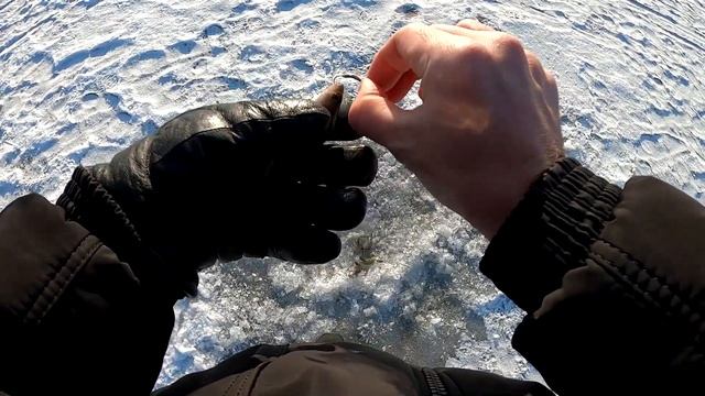 РАЗЛОВИЛ новые БЛЁСНЫ И УДОЧКУ от Mr. Musurok!!! РЫБАЛКА на БЛЕСНУ со льда 2023. смотреть онлайн
