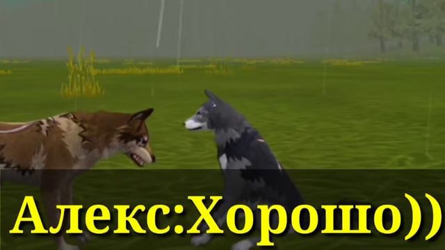 Мини-фильм История любви Волков и Лис) "1 часть" смотреть онлайн