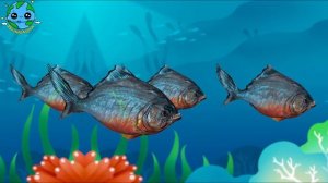 Песенка про подводный мир! Кит, Акула, Крокодил, Черепаха, Краб!