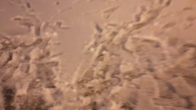 Всем привет и это снежная Прогулка НО мало снега ❄️ ❄️ ❄️ ❄️ ❄️ ❄️ ❄️ ну хорошо что вообще есть ❄️ смотреть онлайн