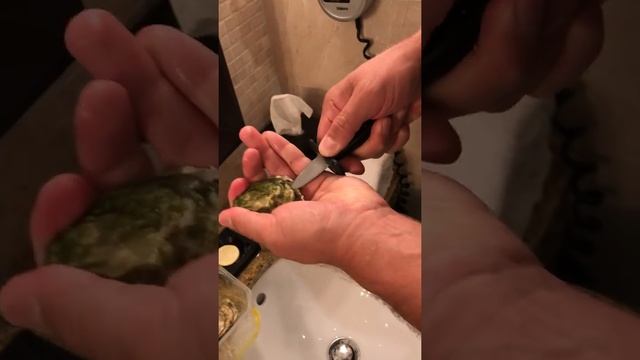Как открывать устриц в домашних условиях смотреть онлайн
