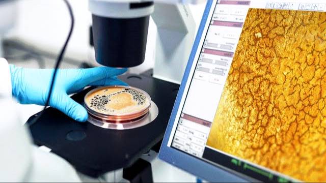 Кофе под микроскопом смотреть онлайн