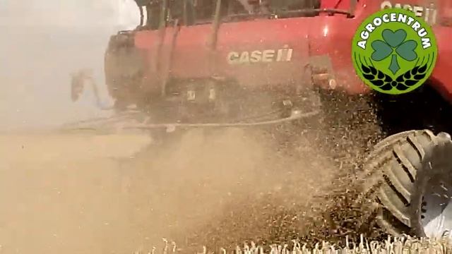 Żniwa 2020. Test polowy kombajnu Case IH Axial Flow 6150 Zwanowice смотреть онлайн