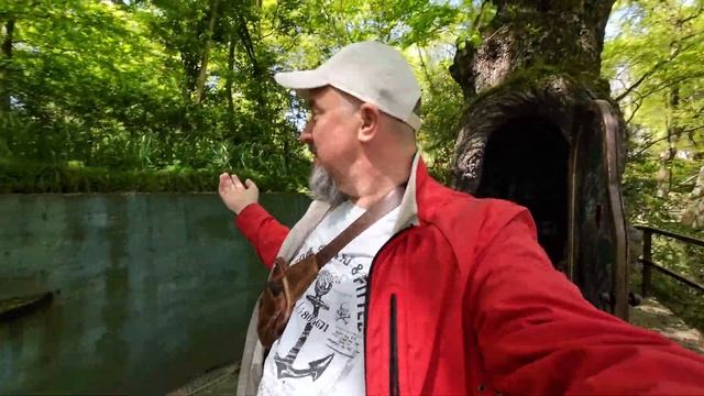 Дуб-часовня! БотСад в день рождения в Кутаиси. #грузия #кутаиси #ქუთაისი смотреть онлайн