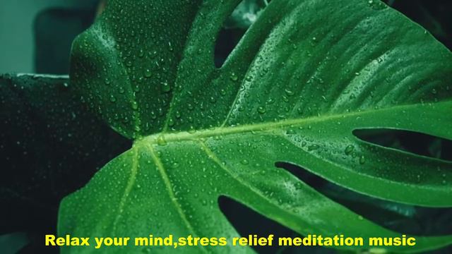 Rain Footage | Relax Music ,Meditation Music смотреть онлайн