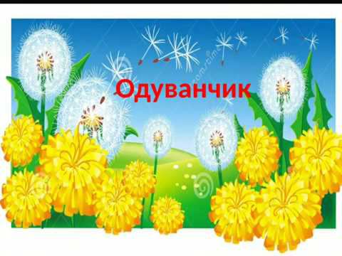 Аппликация «Одуванчик» смотреть онлайн