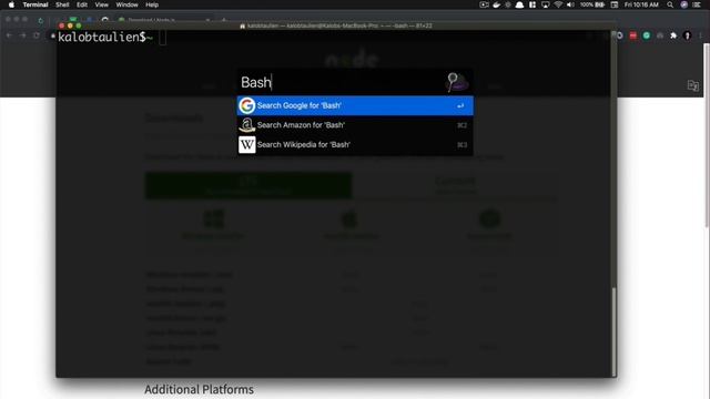 3. Installing Node.js and NPM | ReactJs Premium Course смотреть онлайн