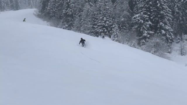 LA TANIA 2019 - The latania.co.uk Season Montage смотреть онлайн