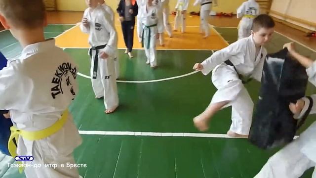 Тренировка по таэквон до итф в Бресте смотреть онлайн