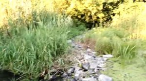 Просто в жизни так бывает. (Песня)