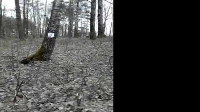 Шмайссерки 25 и 45 метров Temniu+