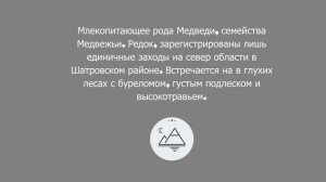 Животные Курганской области