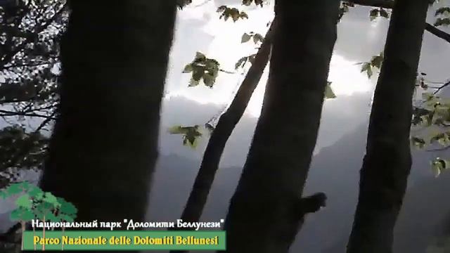 🎦 Национальный парк 