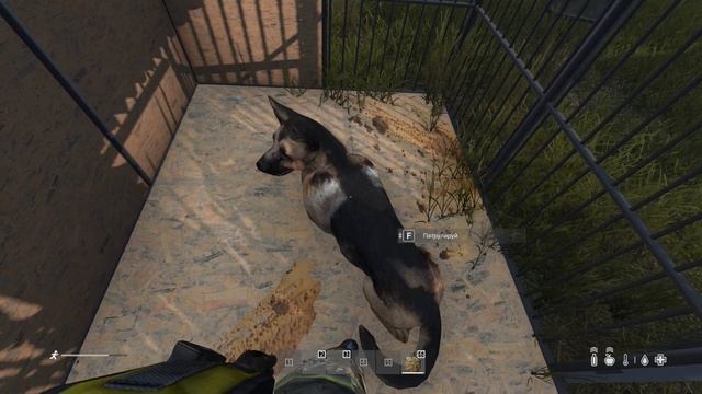 Dayz Mod питомец | Как приручить собаку? смотреть онлайн