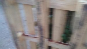 Строю голубятню из поддонов