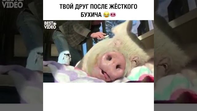 твой друг после жестокого бухича ребятам на фронт я там уже был и знаю каково это 2202 2003 4591 25 смотреть онлайн