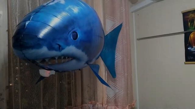 Летающая акула на пульте управления/Air Swimmers Remote Flying Fish shark смотреть онлайн