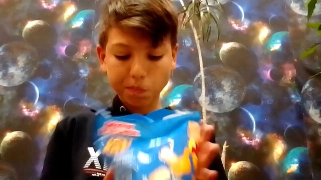 Кулинарный арт-объект