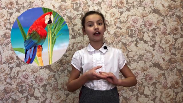 Самая говорливая птица - это... смотреть онлайн