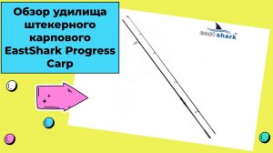Обзор удилища штекерного карпового EastShark Progress Carp