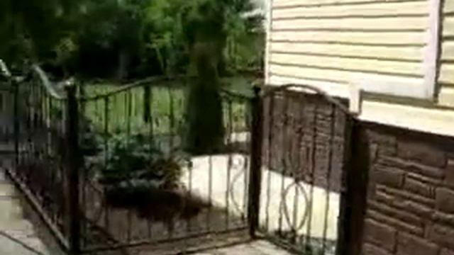 Кованый забор не на месте. смотреть онлайн