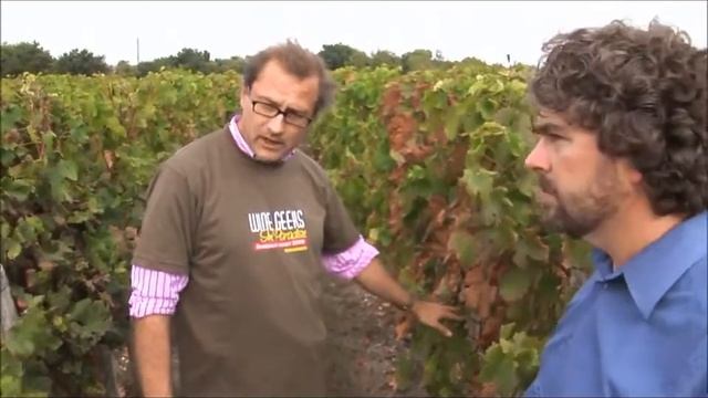 Best Wines Online: Chateau Belle-Vue Haut Medoc Bordeaux Part 2 смотреть онлайн