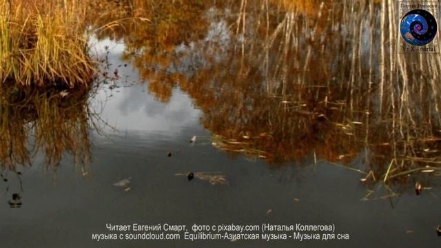 АутоТренинг 01 смотреть онлайн