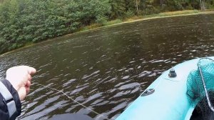 ЛОВЛЯ ЩУКИ НА КРУЖКИ.МОНТАЖ КРУЖКОВ ЧТОБЫ НЕ УПЛЫВАЛИ.