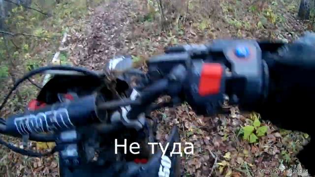Тропа Бобра 2019г смотреть онлайн