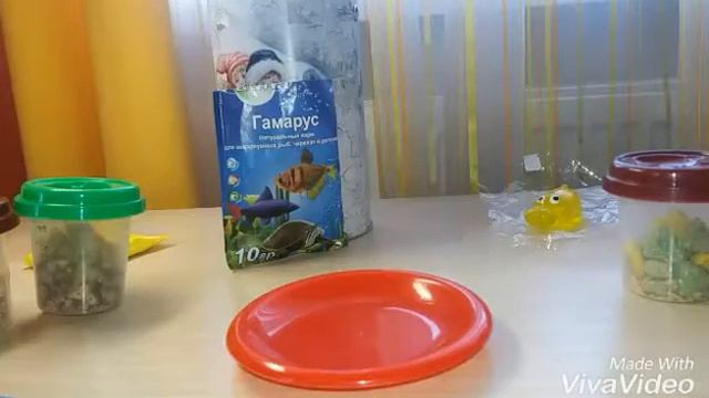 Уход за равликами/Вкусняшка для хомяка смотреть онлайн