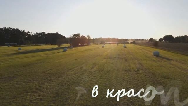 Ты мой/ стих-ЭКСПРОМТ/ автор Надя Шварц смотреть онлайн