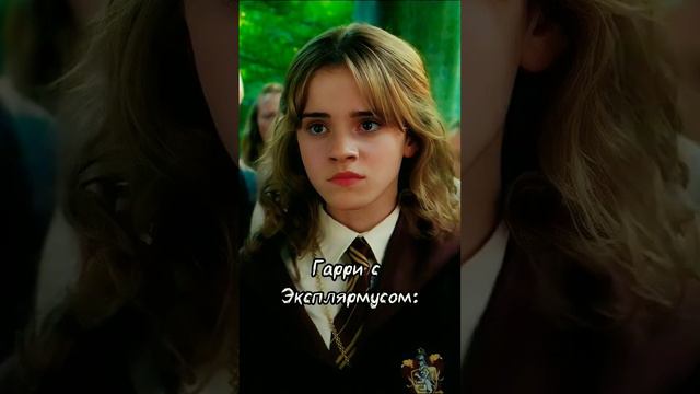 Я даже бы кажется боялась бы без палочки (#гаррипоттер #хогвартс #воландеморт #гермионагрейнджер смотреть онлайн