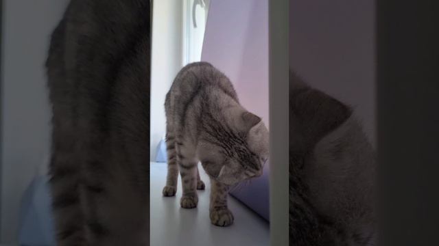 Вот смотрю на тебя  и думаю...