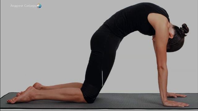 Золотое упражнение ОТ БОЛИ В ПОЯСНИЦЕ / 4 ГЛАВНЫХ ПРАВИЛА смотреть онлайн