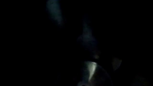 Waring Commercial HGB150 1/2 gallon Blender смотреть онлайн