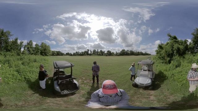 03 Lythrum salicaria смотреть онлайн