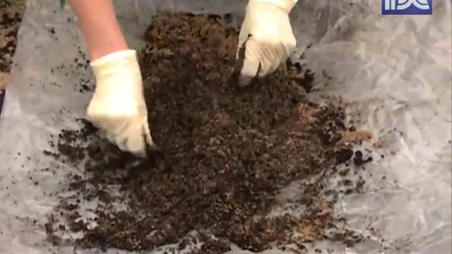 Удачное время_14_06_2012 смотреть онлайн