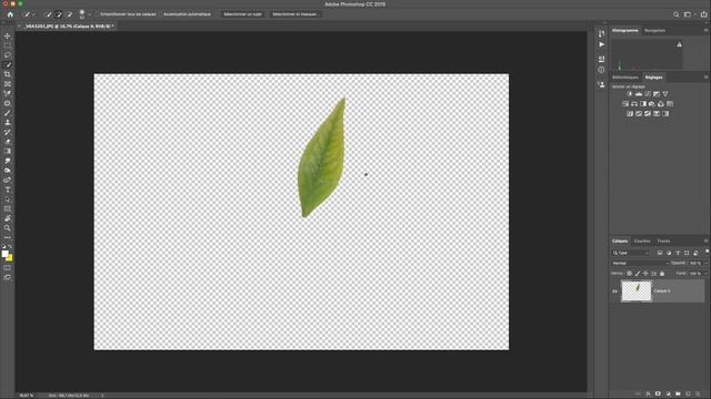 * Savoir créer un PNG sur Photoshop * Format d'image super pratique смотреть онлайн