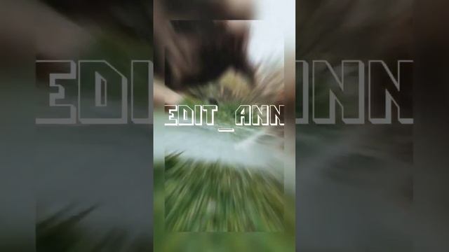 Эдит собаки ❗ звук мой ❗ идея моя ❗ смотреть онлайн