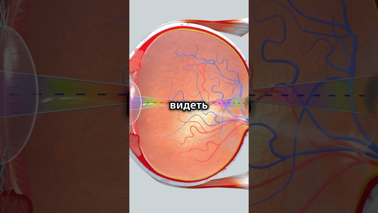 Загадки здоровья  Топ 5 фактов #shorts