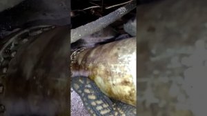 Проверка уровня масла в картере заднего моста ГАЗель