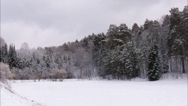 Коренной сибиряк смотреть онлайн