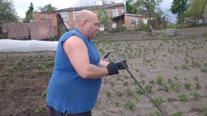 Самый лучший окучиватель картофеля, личный опыт.