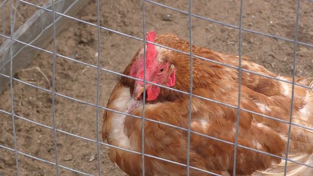 Сделай Свой Мир